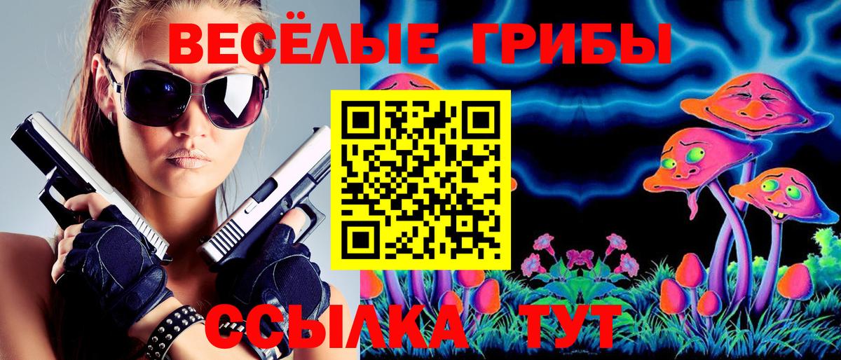 наркошоп  Галлюциногенные грибы GOLDEN TEACHER  Ревда  Псилоцибиновые грибы GOLDEN TEACHER 