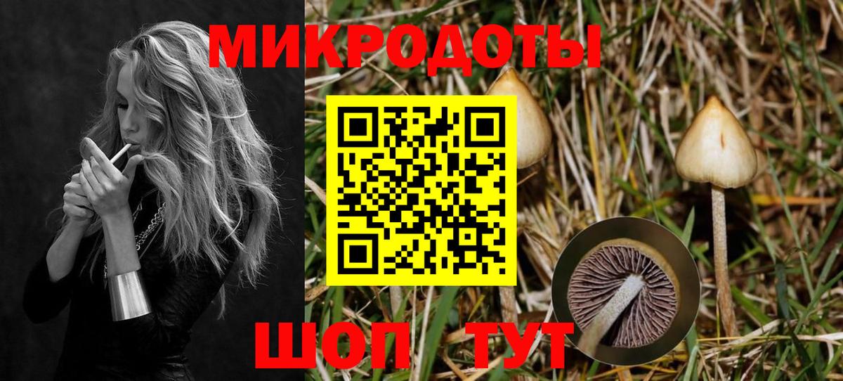 Псилоцибиновые грибы ЛСД Ревда