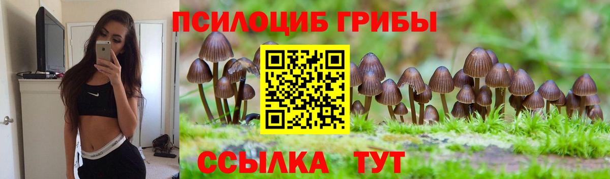 Псилоцибиновые грибы Magic Shrooms  Вход с VPN  Ревда 